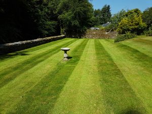 grass cuts in Lenzie and Bearsden