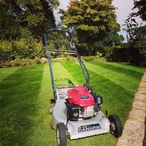 Bearsden grass cutting