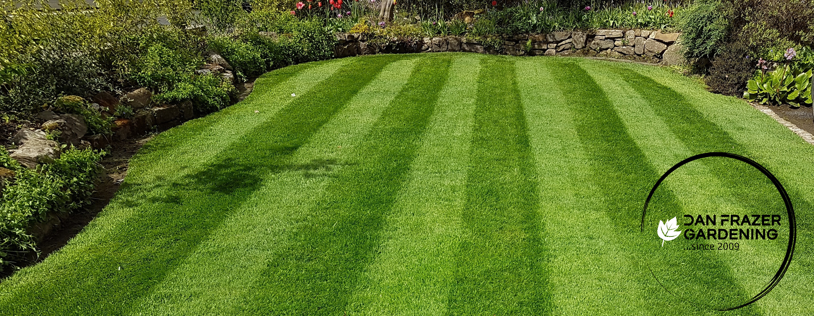 Lawn treatments milngavie