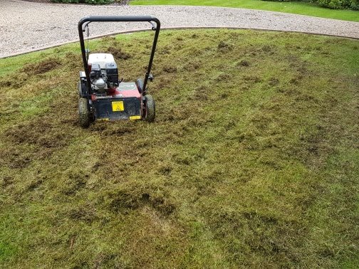 lawn treatment