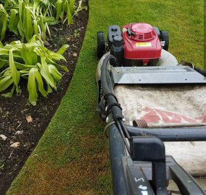 High quality grass cut in Bearsden