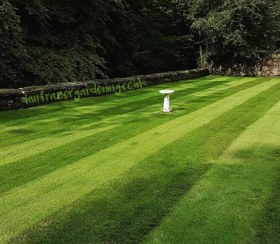 Lawn treatment in Lenzie