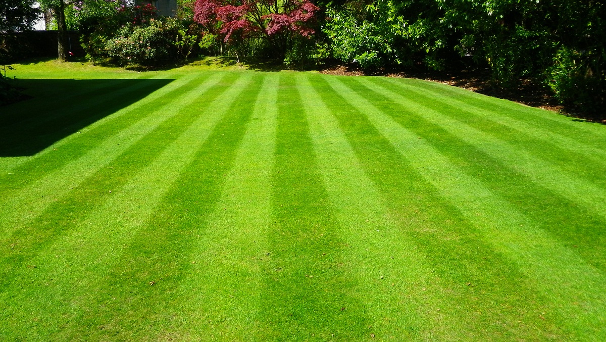 Domestic lawn and gardening work – Dan Frazer Gardening